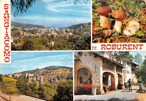 Cartolina San Giacomo di Roburent vedute varie funghi casale anni …