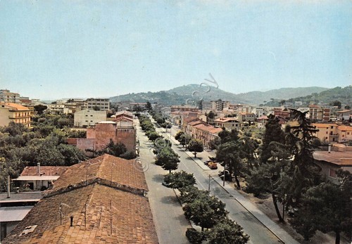 Cartolina San Giorgio del Sannio Viale Spinelli