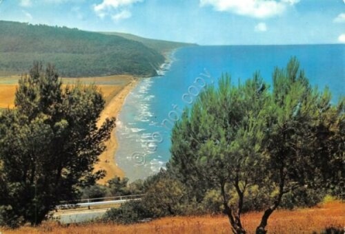 Cartolina San Menaio Gargano Baia Colenella da Monte Pucci 1966