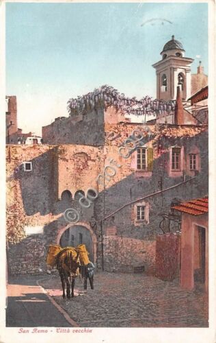 Cartolina San Remo Citt vecchia animata mulo anni '50