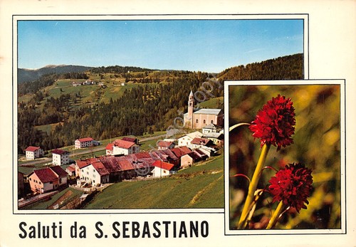 Cartolina San Sebastiano panorama e fiori 1981 (Trento)