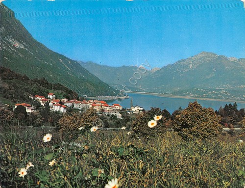 Cartolina Santa Croce del Lago Albergo Bolognese (Belluno)