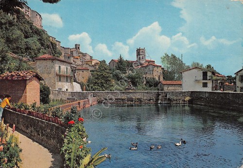 Cartolina Santa Fiora La Peschiera 1981