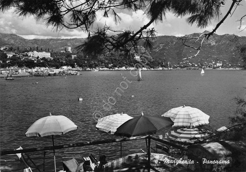 Cartolina Santa Margherita Ligure panorama del mare da terrazza 1953 …
