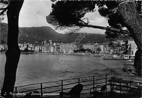 Cartolina Santa Margherita panorama parziale da terrazza 1964 (Genova)