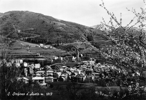 Cartolina Santo Stefano d'Aveto panorama anni '60