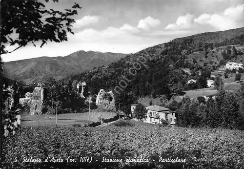 Cartolina Santo Stefano d'Aveto panorama parziale 1954