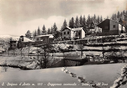 Cartolina Santo Stefano d'Aveto Villaggio Al PIno Neve 1954