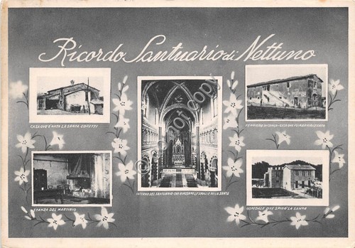 Cartolina Santuario di Nettuno Saluti da Vedutine (Altre tematiche)