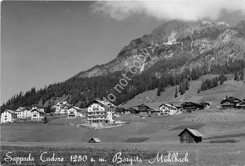 Cartolina Sappada di Cadore Borgata Muhbach 1957