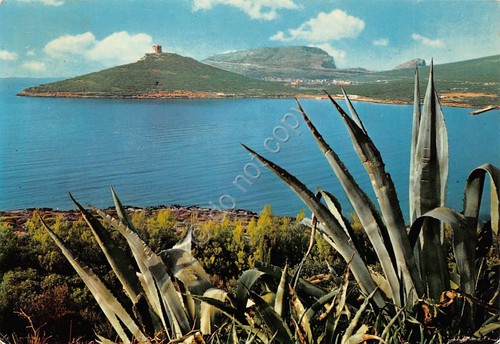 Cartolina Sardegna Capo Caccia 1970 (Sassari)