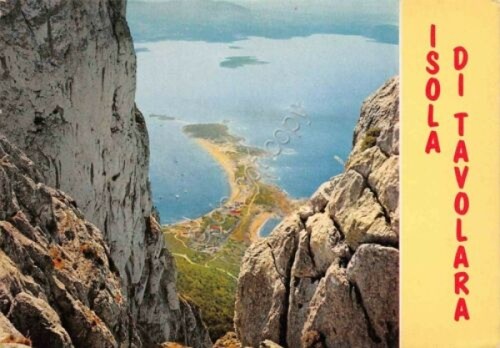 Cartolina Sardegna Isola di Tavolara 1951