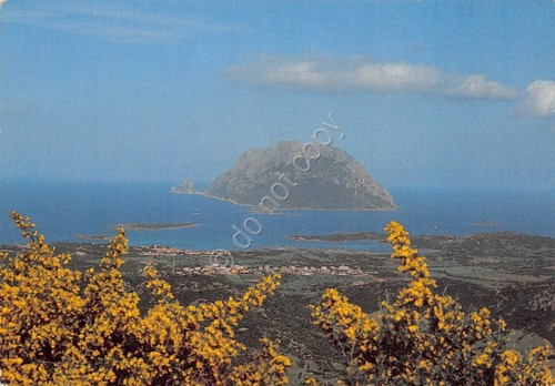 Cartolina Sardegna Isola di Tavolara e Porto San Paolo 1988 …