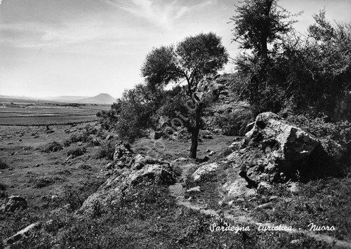 Cartolina Sardegna Nuoro Sentiero