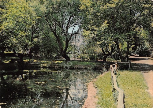 Cartolina Sardegna San Leonardo de Siete Fuentes Santu Lussurgiu 1981