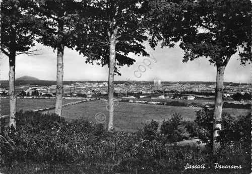 Cartolina Sassari panorama 1962 timbro targhetta PT