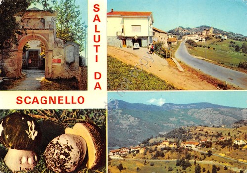 Cartolina Scagnello vedute varie paese case strada funghi