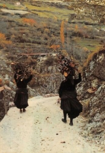 Cartolina Scanno due forze di legna