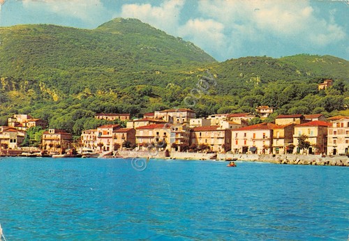 Cartolina Scario panorama dal mare 1979 (Salerno)