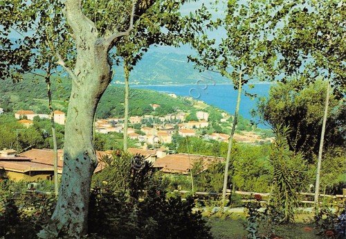 Cartolina Scario Panorama parziale dall'alto case anni '80