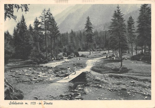 Cartolina Schilpario Pineta animata