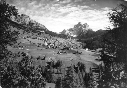Cartolina Selva di Cadore verso Monte Pelmo 1963