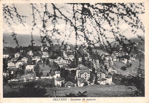 Cartolina Selvino Panorama 1962