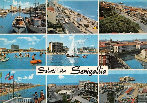 Cartolina Senigallia vedute varie barche spiaggia panorama citt? 1981 (Ancona)