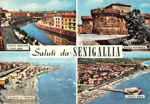 Cartolina Senigallia vedute varie e panorama aereo 1969 (Ancona)