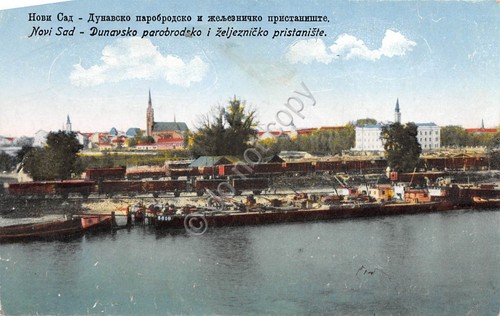 Cartolina Serbia Novi Sat Illustrata Dunavsko parobrodsko