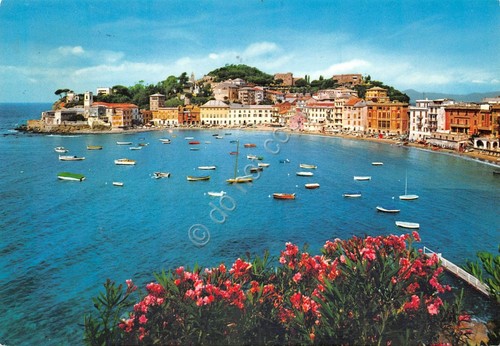 Cartolina Sestri Levante La Penisola baia del Silenzio 1971 (Genova)