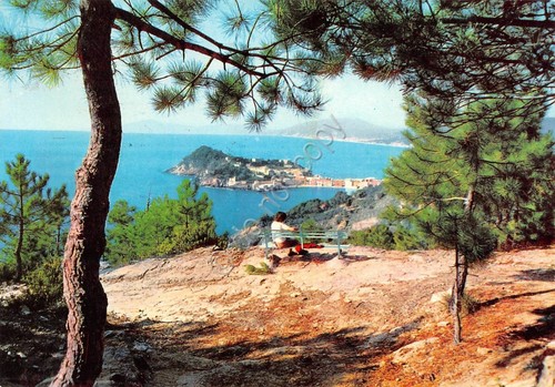 Cartolina Sestri Levante Panorama da Pineta della Mandrella animata 1968