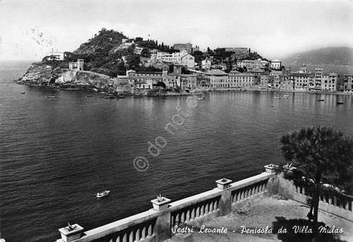 Cartolina Sestri Levante veduta da Villa Mulas 1955