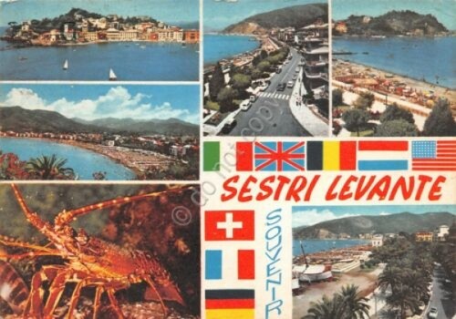 Cartolina Sestri Levante vedute aragosta 1966 Timbro Colonia Marina Tagliaferro