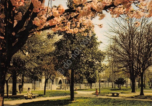 Cartolina Seveso Giardini Pubblici 1984 animata