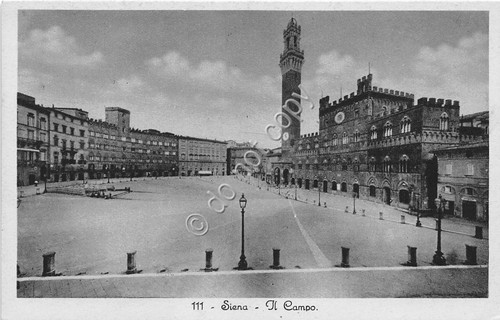 Cartolina Siena Il Campo