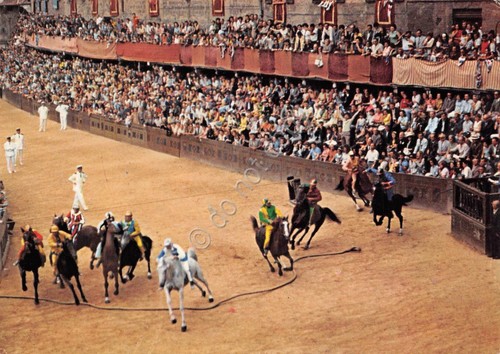 Cartolina Siena Il Palio La Mossa Partenza Contrada dell'Onda
