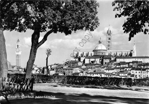 Cartolina Siena Panorama 1961