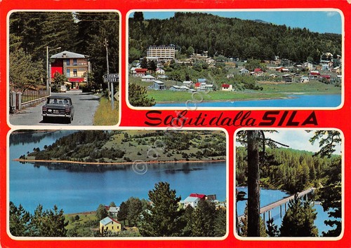 Cartolina Sila 4 vedute auto d'epoca (Cosenza)