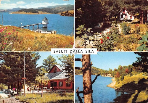 Cartolina Sila Calabria 4 vedute (Catanzaro)