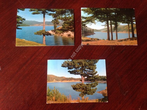 Cartolina Sila Lago Ampollino Lotto di 3 Cartoline VG e …