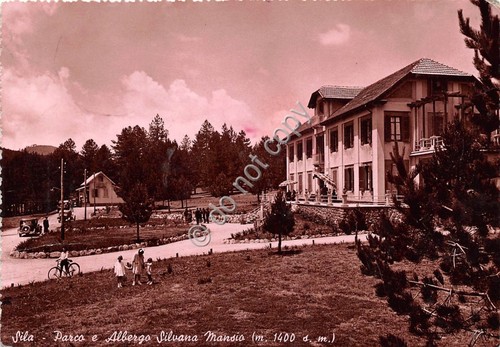 Cartolina SIla Parco e Albergo Silvana Mansio 1951