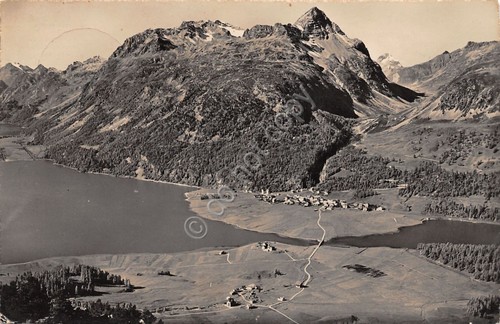 Cartolina Silvaplana und Surlei mit Piz Polaschin Julierpass 1950