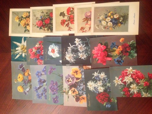 Cartolina Sinceri Auguri con fiori lotto di 17 Cartoline NVG …