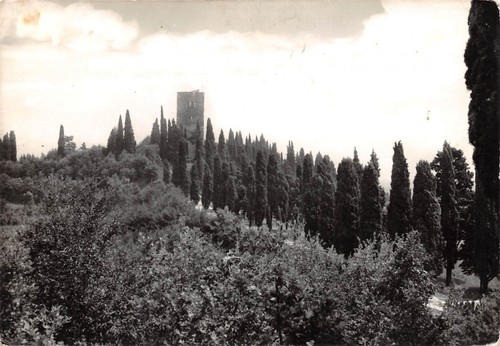 Cartolina Società Solferino San Martino Rocca