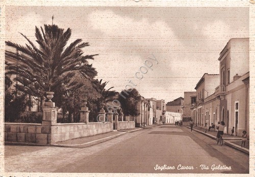 Cartolina Sogliano Cavour Via Galatina animata