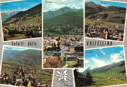Cartolina Sondrio Valtellina vedutine 1967