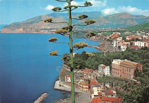 Cartolina Sorrento Panorama