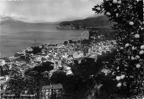 Cartolina Sorrento Panorama (Napoli)