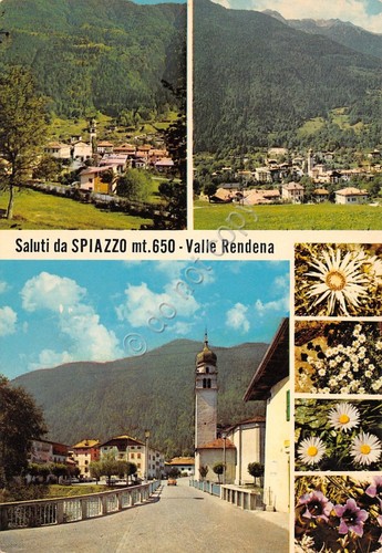 Cartolina Spiazzo Valle Rendena vedute paese panorama a fiori 1973